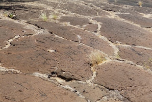 Petroglyph field